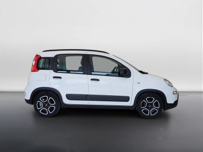 4 - Fiat Panda Cascioli Group