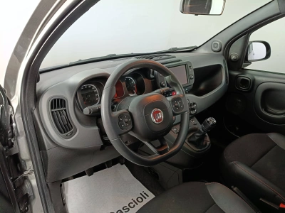 7 - Fiat Panda III 2021 Cascioli Group