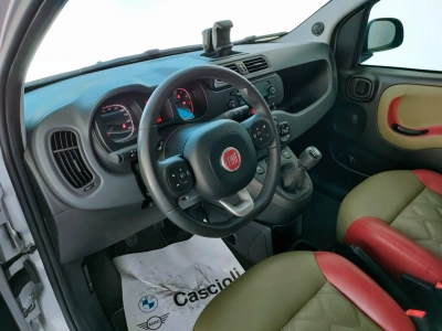 10 - Fiat Panda III Van 2016 Cascioli Group