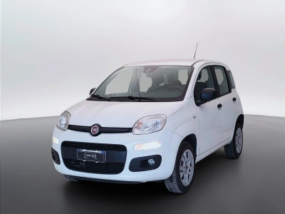 1 - Fiat Panda Cascioli Group