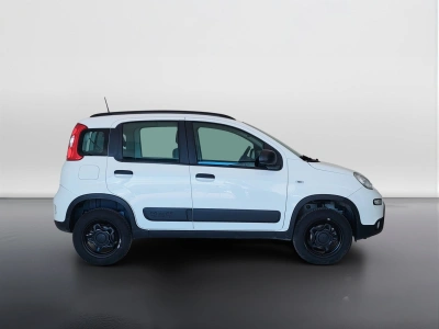 4 - Fiat Panda Cascioli Group
