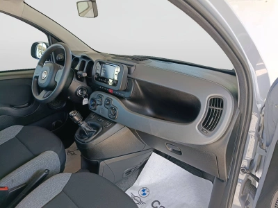 10 - Fiat Panda Cascioli Group