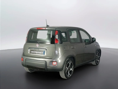 4 - Fiat Panda Cascioli Group