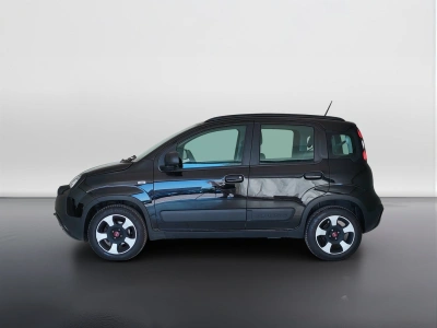8 - Fiat Panda Cascioli Group