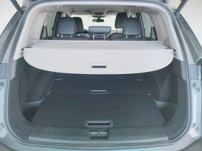 5 - Nissan X Cascioli Group