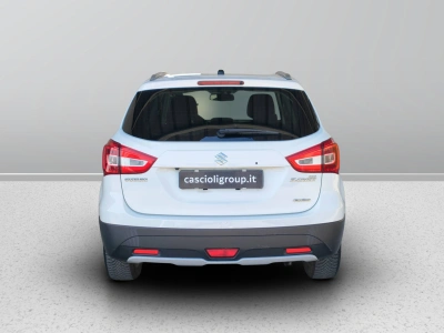 4 - Suzuki S Cascioli Group