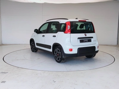 7 - Fiat Panda III 2021 Cascioli Group