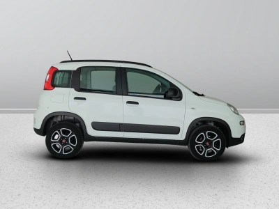 7 - Fiat Panda Cascioli Group