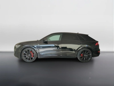 8 - Audi Q8 Cascioli Group