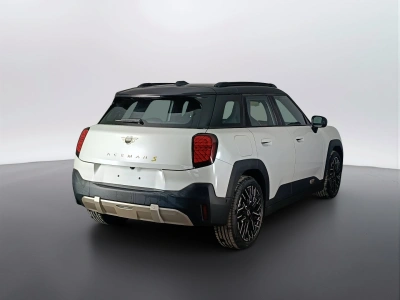 4 - MINI Aceman Cascioli Group