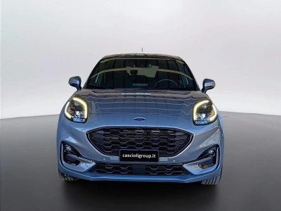 2 - Ford Puma Cascioli Group