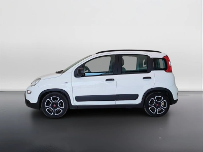 8 - Fiat Panda Cascioli Group