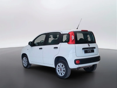 5 - Fiat Panda Cascioli Group