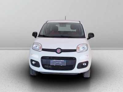 2 - Fiat Panda Cascioli Group