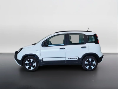 8 - Fiat Panda Cascioli Group