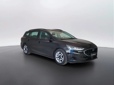 3 - Ford Focus Cascioli Group