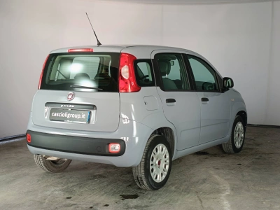 4 - Fiat Panda Cascioli Group