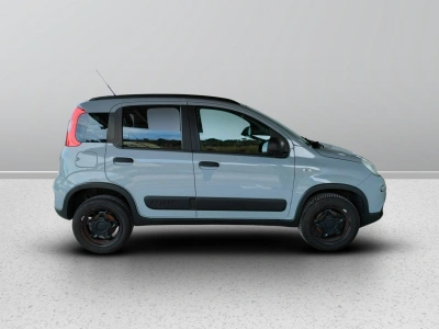 7 - Fiat Panda Cascioli Group