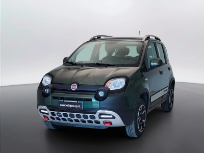 1 - Fiat Panda Cascioli Group