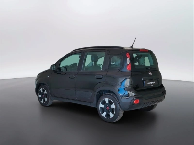 7 - Fiat Panda Cascioli Group