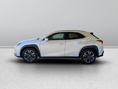 6 - Lexus UX 2019 Cascioli Group