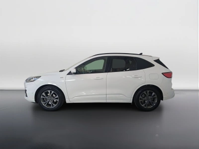 6 - Ford Kuga Cascioli Group