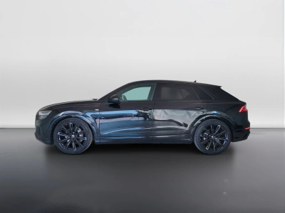 8 - Audi Q8 Cascioli Group