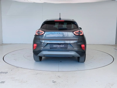 6 - Ford Puma Cascioli Group