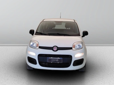 2 - Fiat Panda III Van 2016 Cascioli Group