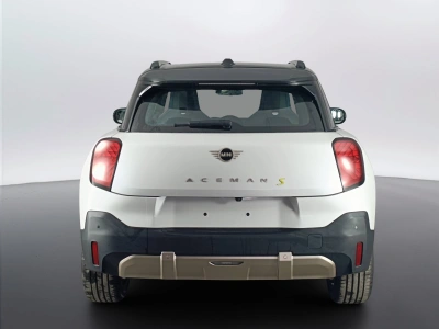 5 - MINI Aceman Cascioli Group