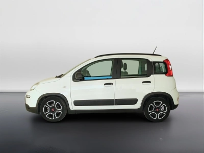 8 - Fiat Panda Cascioli Group
