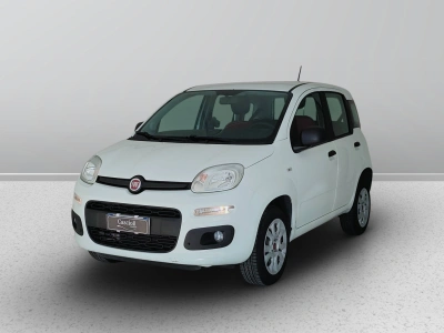 1 - Fiat Panda Cascioli Group