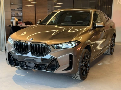 6 - BMW X6 Cascioli Group