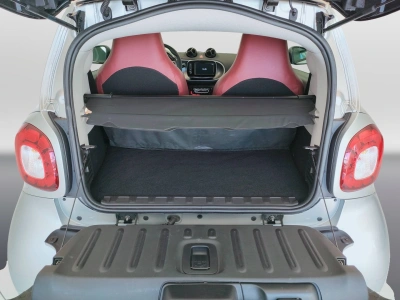 10 - smart fortwo Cascioli Group