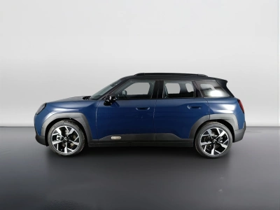 6 - MINI Aceman Cascioli Group