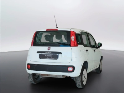 5 - Fiat Panda Cascioli Group
