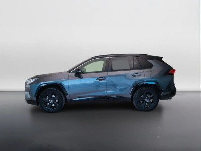 3 - Toyota RAV4 Cascioli Group