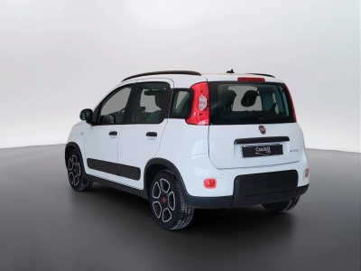 7 - Fiat Panda Cascioli Group