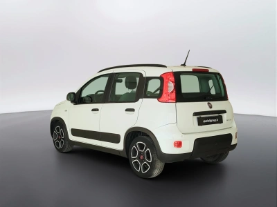 7 - Fiat Panda Cascioli Group