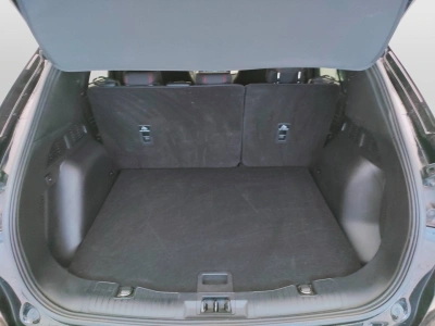 10 - Ford Kuga Cascioli Group