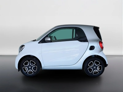 3 - smart fortwo Cascioli Group
