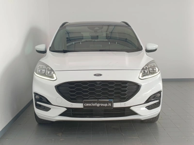 2 - Ford Kuga Cascioli Group