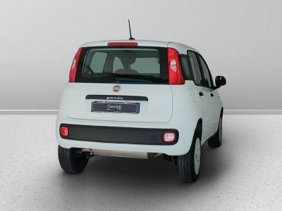 6 - Fiat Panda Cascioli Group