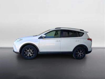 6 - Toyota RAV4 Cascioli Group