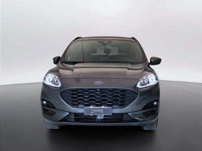 2 - Ford Kuga Cascioli Group