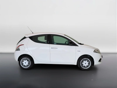 7 - Lancia Ypsilon Cascioli Group