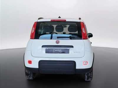 6 - Fiat Panda Cascioli Group