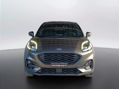 2 - Ford Puma Cascioli Group