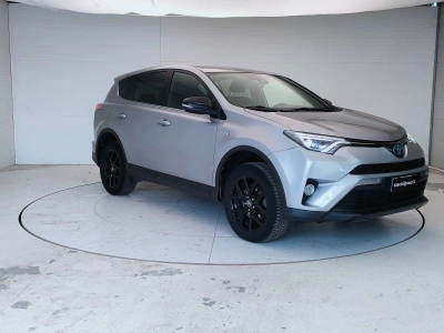3 - Toyota RAV4 Cascioli Group