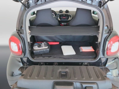 10 - smart fortwo Cascioli Group